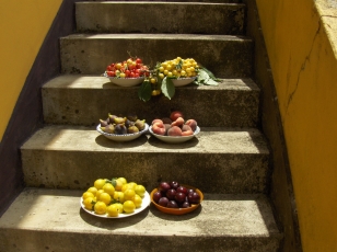fruit op trap